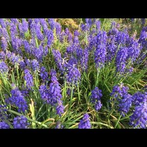 Meet your Posher, Dominika